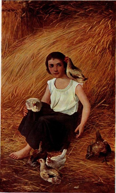 Good My Chickens by Anton Gvajc